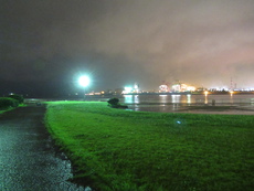 雨降り東扇島のアジ釣査 2019/07/20 02:07:11