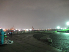 雨と風と東扇島 2019/09/04 11:40:45