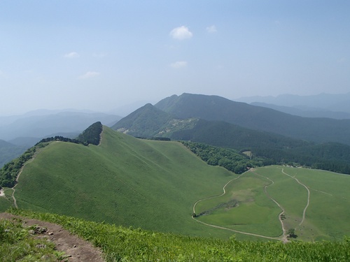 新緑の倶留尊山