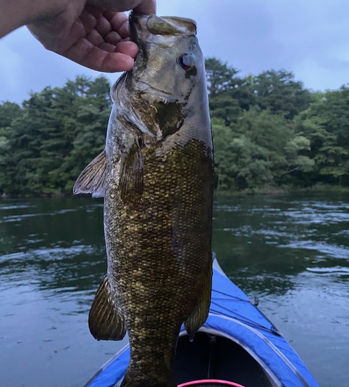 夏休みの前半戦は、2年ぶりの小野川湖へ!♪ (Part1) 夏休みの前半戦は、2年ぶりの小野川湖へ!♪ (Part1)