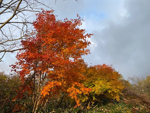 久しぶりの紅葉カヤックは小野川湖で!(^^♪ (Part1) 久しぶりの紅葉カヤックは小野川湖で!(^^♪ (Part1)