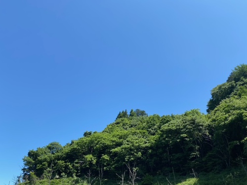 梅雨入り前のひと漕ぎは秩父さくら湖で!♪(後編) 梅雨入り前のひと漕ぎは秩父さくら湖で!♪(後編)