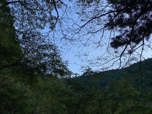 知る人ぞ知る?山奥でリハビリキャンプ!(前編) (^^♪ 知る人ぞ知る?山奥でリハビリキャンプ!(前編) (^^♪