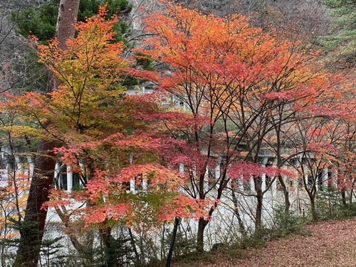 薪スト初めのはずが・・・・温泉三昧キャンプに変更。（＾＾；（Part2）