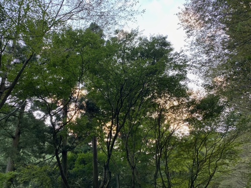 知る人ぞ知る?山奥でリハビリキャンプ!(前編) (^^♪ 知る人ぞ知る?山奥でリハビリキャンプ!(前編) (^^♪