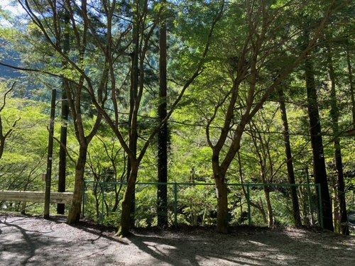 知る人ぞ知る?山奥でリハビリキャンプ!(前編) (^^♪ 知る人ぞ知る?山奥でリハビリキャンプ!(前編) (^^♪