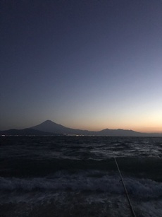 今年ラスト静岡 2019/11/02 14:01:52