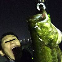 【まとめ】　ブラックバス