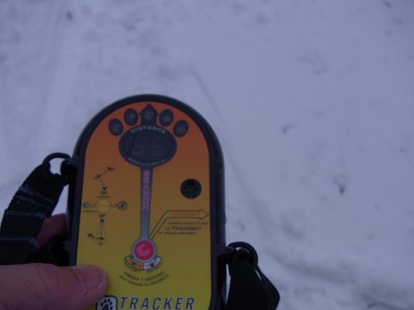 スキー６週目(１月１９日)その１