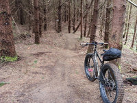 Surly Pugsrey トレイルツーリング