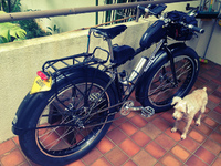 Surly Pugsley