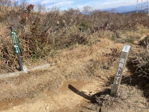 赤坂山