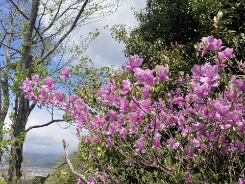 大文字山登山・ミニテーブル改