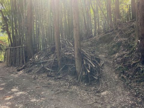 大文字山登山・ミニテーブル改