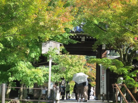 東山散歩