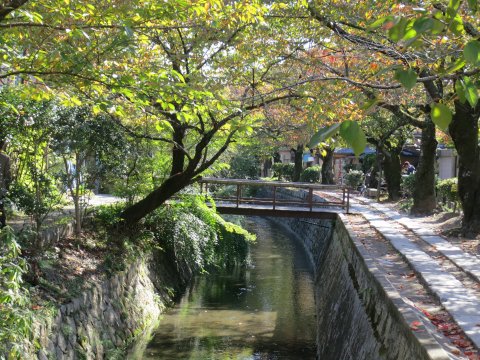 東山散歩