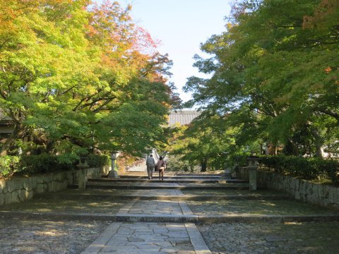 東山散歩