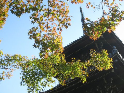東山散歩