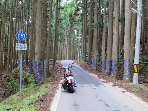 安曇川で焚き火（日帰ツー）