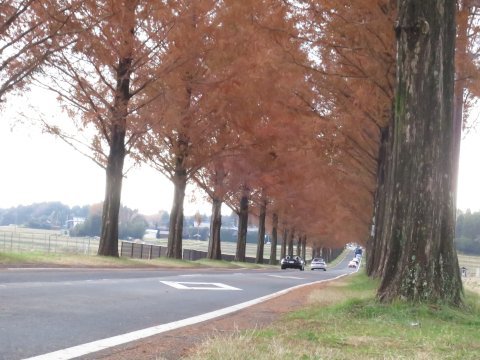 B計画・秋 in マキノ高原キャンプ場 1日目