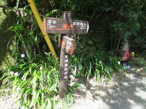 愛宕山