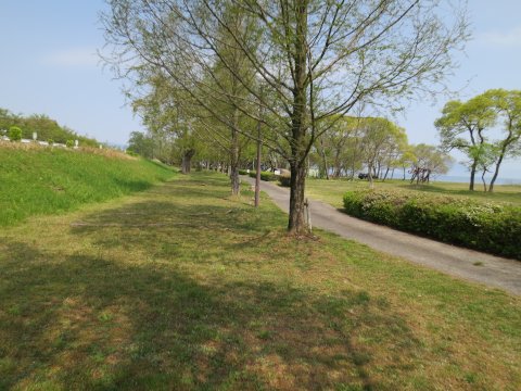 六ツ矢崎浜オートキャンプ場