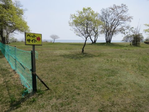 六ツ矢崎浜オートキャンプ場