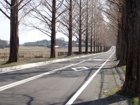 琵琶湖一周（日帰ツー）