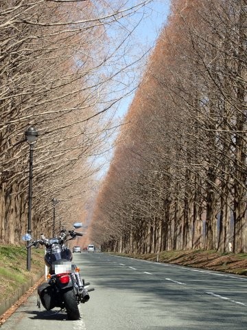 琵琶湖一周(日帰ツー)