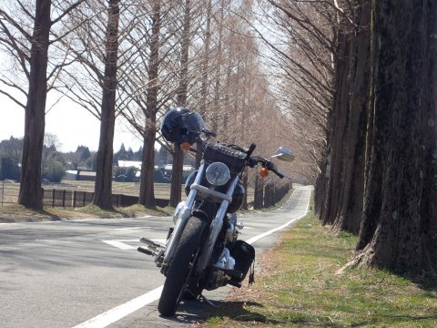琵琶湖一周(日帰ツー)