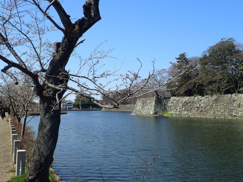琵琶湖一周(日帰ツー)