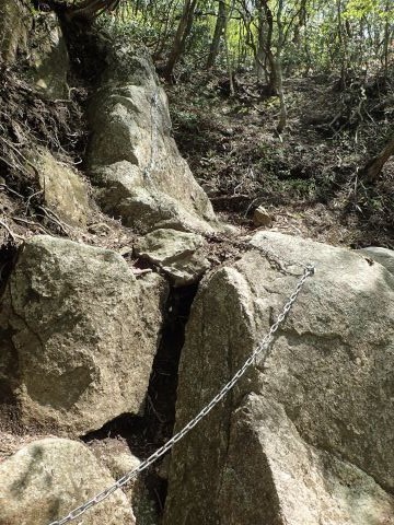 竜ヶ岳登山