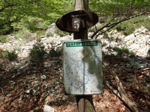 竜ヶ岳登山