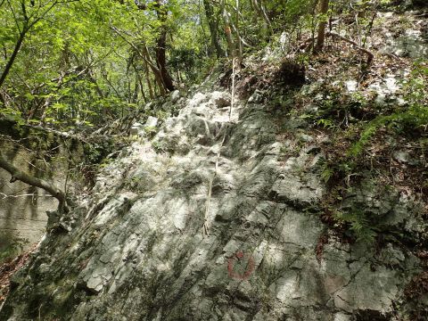 竜ヶ岳登山