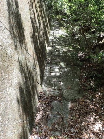 竜ヶ岳登山