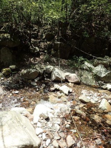 竜ヶ岳登山