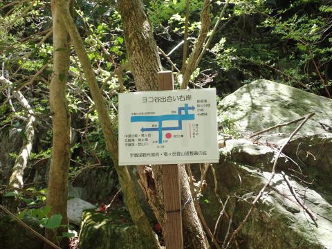 竜ヶ岳登山