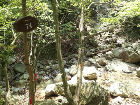 竜ヶ岳登山
