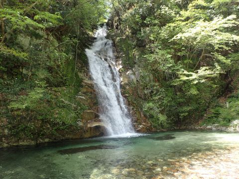 竜ヶ岳登山