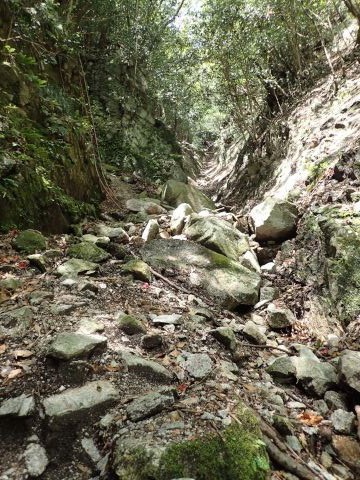 竜ヶ岳登山