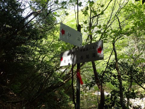 竜ヶ岳登山