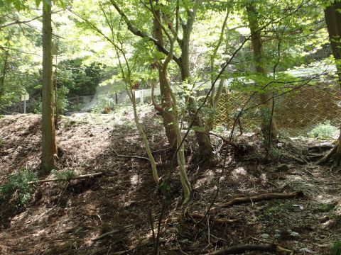 竜ヶ岳登山
