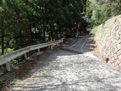 竜ヶ岳登山