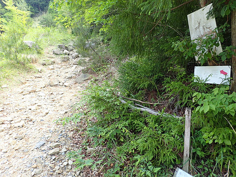 鎌ケ岳