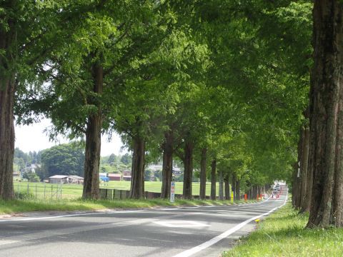 姉川古戦場（日帰ツー）