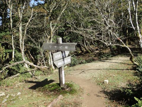 武奈ヶ岳