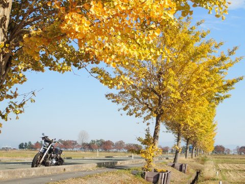 湖西（日帰ツー）