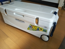大物も安心！　私がおすすめする大型クーラーボックスはこれだ！