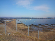 電気畑（うろうろ松川浦、福島県相馬市磯部芹谷地）