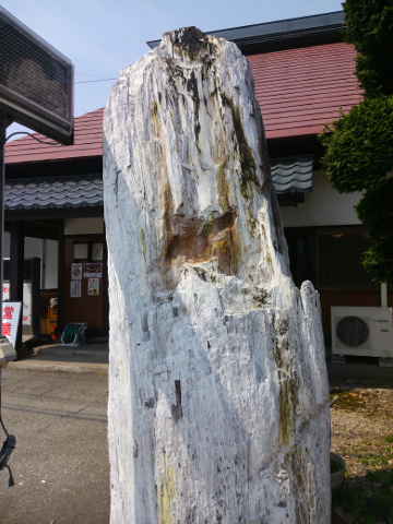 まんじゅう屋 仮店舗 まるきや 肉そば 山形県西村山郡西川町睦合丙134 2